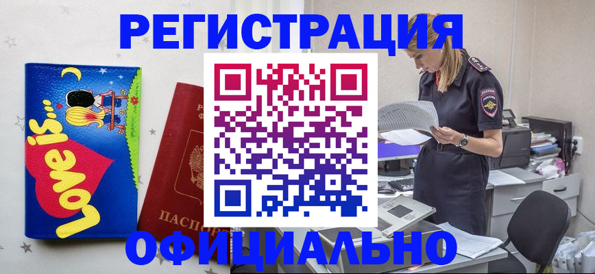 временная регистрация гарантия в Палласовке