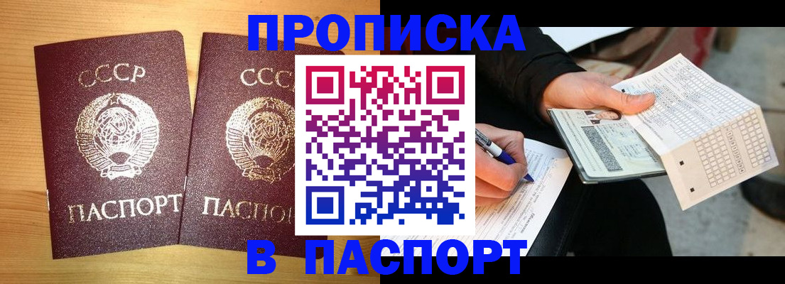 временная регистрация в Палласовке